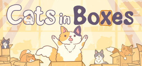 Cats In Boxes